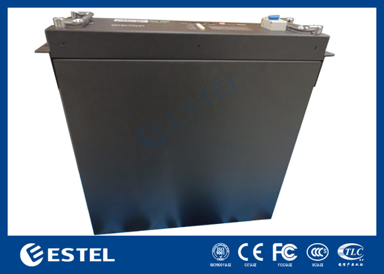 ESTEL LFELI 48100 48V 100Ah লিথিয়াম আয়রন ফসফেট ব্যাটারি টেলিকম এবং শিল্প অ্যাপ্লিকেশন জন্য উচ্চ দক্ষতা শক্তি সঞ্চয় সমাধান